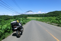 rR